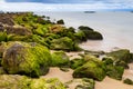 Green mossy seashore stones, green algea, mossy embankment Royalty Free Stock Photo