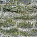 Green mossy stone wal