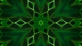 Green motion design background with symmetrical star pattern. Abstract sci-fi background with glow particles form curved Royalty Free Stock Photo