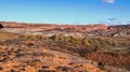 Green mounds on Delicate Arch Road in Arches National Park, Utah Royalty Free Stock Photo