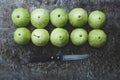 Green Mountain Apples Royalty Free Stock Photo