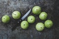 Green Mountain Apples Royalty Free Stock Photo