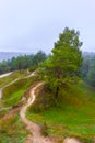 mountain backbone in mist