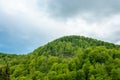 Green mountain on a background cloudy sky. Green hill. Mountain forest green.