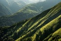 Green mountain hillsides with trees, pastures, meadows and deep valleys in region Tusheti