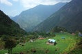 Green mountain landscape. House surrounded by fields Solukhumbu, Everest Region, Nepal Royalty Free Stock Photo