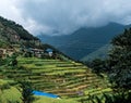 Green valley with rice terraces, Annapurna circuit, Nepal. Royalty Free Stock Photo