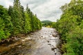 Green mountain landscape with a river flowing between tall trees in the highlands of Scotland, UK. Royalty Free Stock Photo