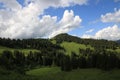 Green mountain meadow and cumulus cloud over Mount Walighuerli