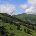 Green mountain meadows and Arnehore