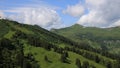 Green mountain meadows and forest in Gsteig bei Gstaad.