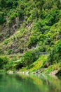 A green mountain river flowing along a forested cliffs of a gorge. Waioeka Gorge, North Island, New Zealand Royalty Free Stock Photo