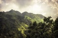 Green mountain trees scenery landscape little AdamÃ¢â¬â¢s Peak in Asia Sri Lanka Ella surroundings Royalty Free Stock Photo