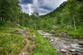 Green mountain valley with river, footpath, rocks, green birch trees, dark sky with clouds. Spring Norwegian valley