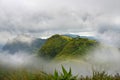 Green mountain in the white thick fog Royalty Free Stock Photo