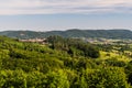 Green Mountainous Landscape in Odenwald Royalty Free Stock Photo
