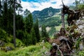 Mountainous landscape in Val di Fassa Dolomites with blue sky near Trentino, Italy