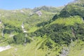 Green mountains Carpathians