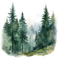 Green Mountains with forest trees in fog. Hand drawn watercolor misty lake and woods landscape. Green watercolor landscape with Royalty Free Stock Photo