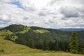 Green mountains and grassy meadow on the valley surrounded by coniferous forest on the hills. Carpathians Royalty Free Stock Photo