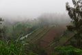 Green mountains, jungle and asian terraced farms.