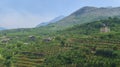 Green mountains landscape in Lebanon fruits groves near laqlooq and a perspective on the successing hills