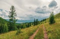 Green mountains landscape with old dirt road overgrown with grasses and flowers. Beautiful green mountain scenery with old track Royalty Free Stock Photo