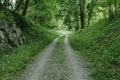 Green mountains landscape with old dirt road overgrown with grasses and flowers to forest Royalty Free Stock Photo