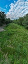 Green mountains landscape with old dirt road overgrown with grasses and flowers to forest edge on hill. Beautiful green Royalty Free Stock Photo