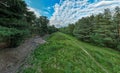 Green mountains landscape with old dirt road overgrown with grasses and flowers to forest edge on hill. Beautiful green Royalty Free Stock Photo