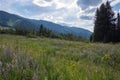 Green mountains landscape in summer season. Nature landscape. Beautiful Koksu river valley