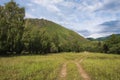 Green mountains landscape in summer season. Nature landscape. Beautiful Koksu river valley