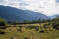 Green mountains landscape in summer season. Nature landscape. Beautiful Koksu river valley