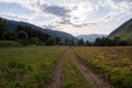 Green mountains landscape in summer season. Nature landscape. Beautiful Koksu river valley