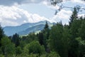 Green mountains landscape in summer season. Nature landscape. Beautiful Koksu river valley