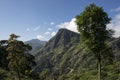 Green mountains with plantations Ella, Sri Lanka.