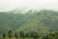 A green mountainside with rice fields and houses under fog and white clouds Royalty Free Stock Photo