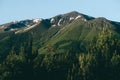 Green mountan hills background with pine forest and snow parts