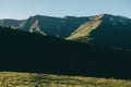 Green mountan hills background with pine forest and snow parts