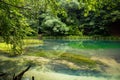 Green mountine lake in the forest Royalty Free Stock Photo