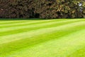 Green mowed lawn Royalty Free Stock Photo