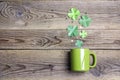 Green mug with four-leaf clover on wooden background. Copy space Royalty Free Stock Photo