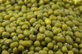 Green mung beans