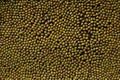 Green mung beans background