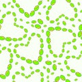 Green mung beans hearts seamless pattern with love