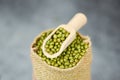 Green mung beans in the sack with wooden scoop - Mung bean seed cereal whole grains Royalty Free Stock Photo