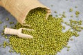 Green mung beans in the sack with wooden scoop - Mung bean seed cereal whole grains Royalty Free Stock Photo