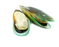 Green mussel