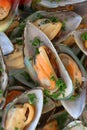 Green mussel shells marinated as a cold starter