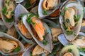 Green mussel shells marinated as a cold starter Royalty Free Stock Photo